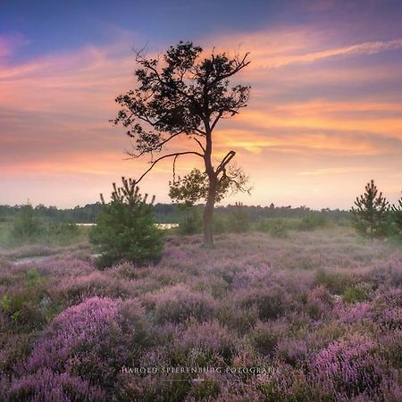 Natuurhuisje Oisterwijk Villa Eksteriør billede