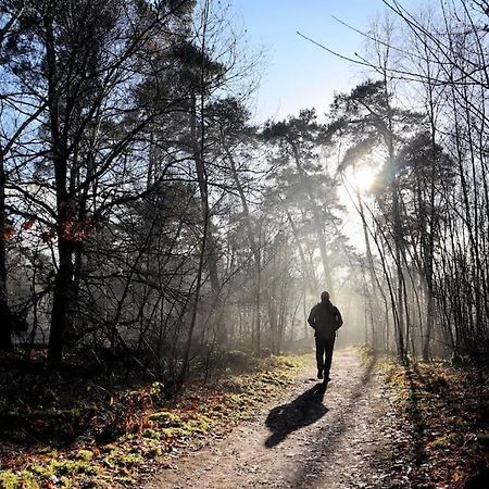 Natuurhuisje Oisterwijk Villa Eksteriør billede