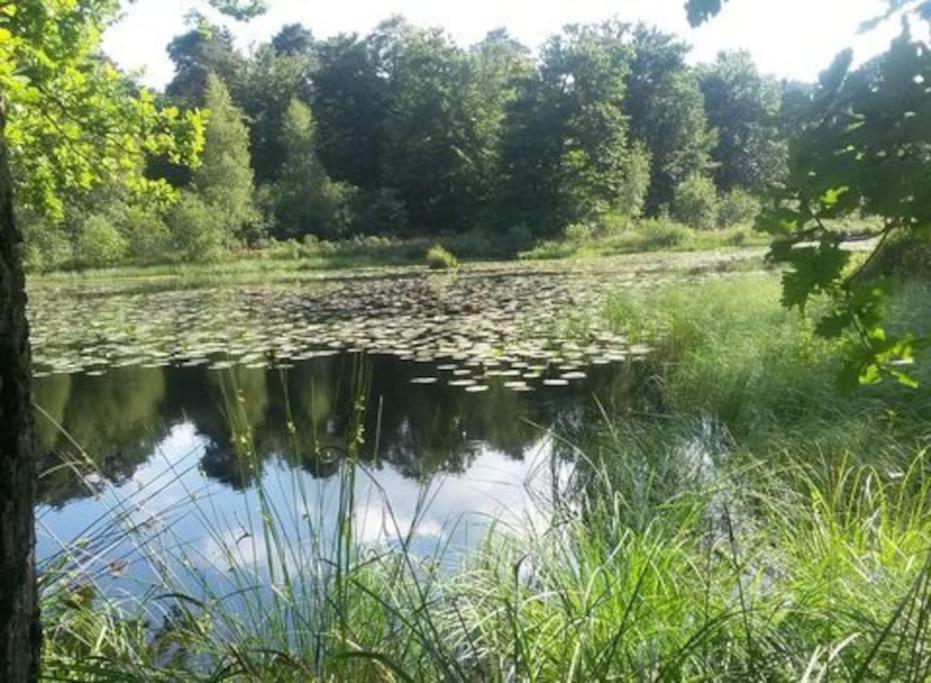 Natuurhuisje Oisterwijk Villa Eksteriør billede