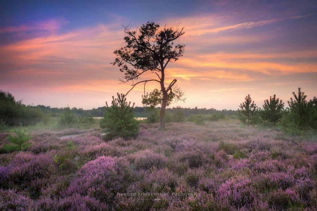 Natuurhuisje Oisterwijk Villa Eksteriør billede