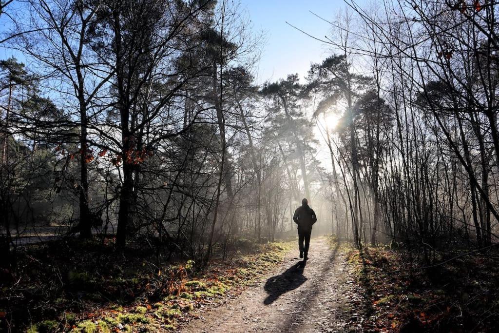 Natuurhuisje Oisterwijk Villa Eksteriør billede