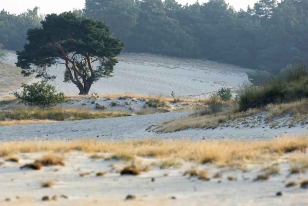 Natuurhuisje Oisterwijk Villa Eksteriør billede