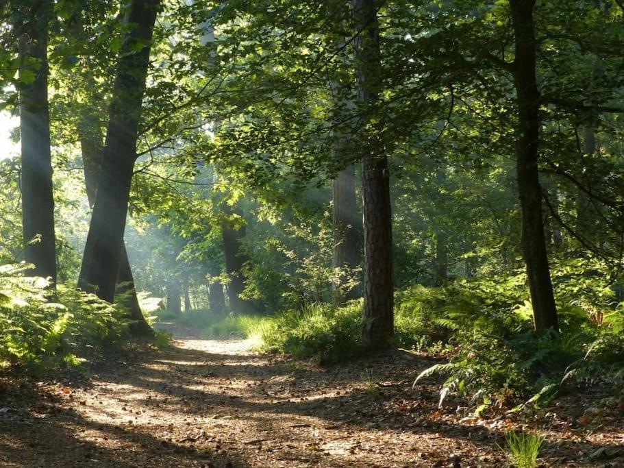 Natuurhuisje Oisterwijk Villa Eksteriør billede