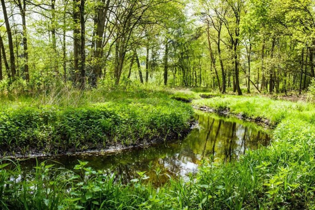 Natuurhuisje Oisterwijk Villa Eksteriør billede