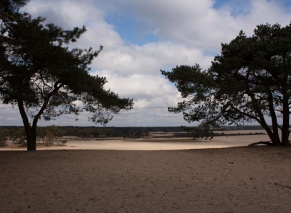 Natuurhuisje Oisterwijk Villa Eksteriør billede