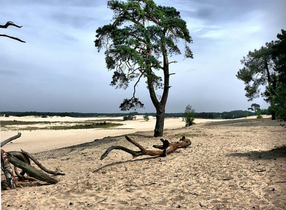 Natuurhuisje Oisterwijk Villa Eksteriør billede